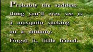 efa56c27a7aff2dbef39951a47078401