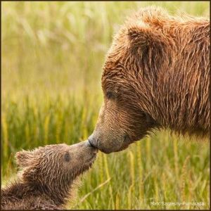 5d72c544307d3b427c1125c73f05d576